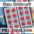 Bleu Sildénafil 19